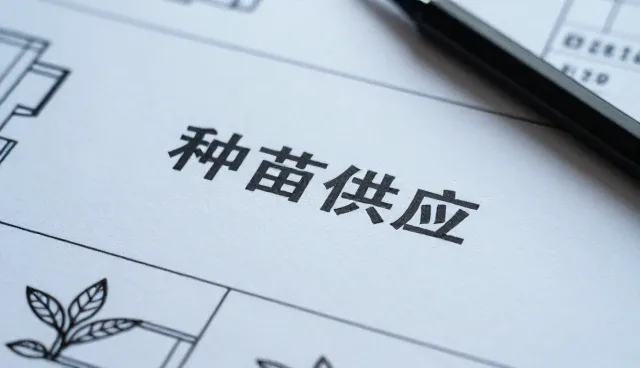种苗选择与田间管理要点解析